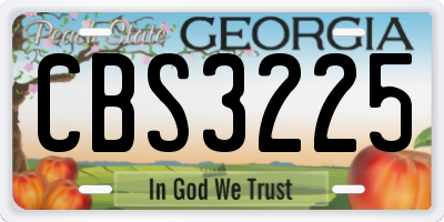 GA license plate CBS3225