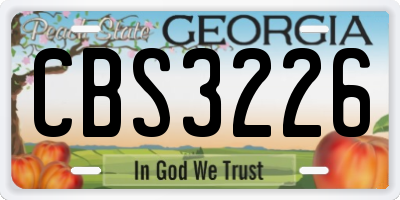 GA license plate CBS3226