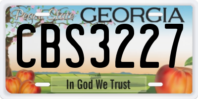 GA license plate CBS3227