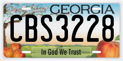 GA license plate CBS3228