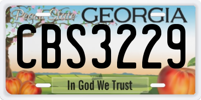 GA license plate CBS3229