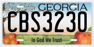 GA license plate CBS3230