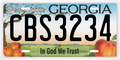 GA license plate CBS3234