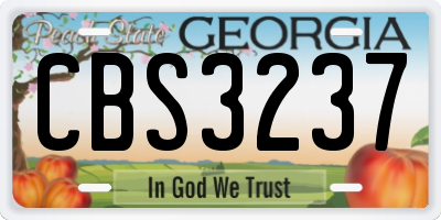 GA license plate CBS3237