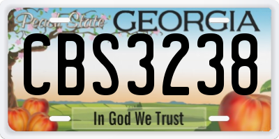 GA license plate CBS3238