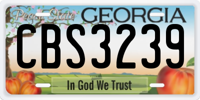 GA license plate CBS3239