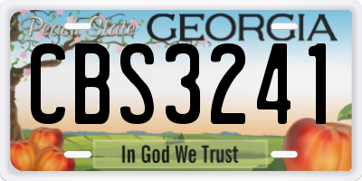 GA license plate CBS3241