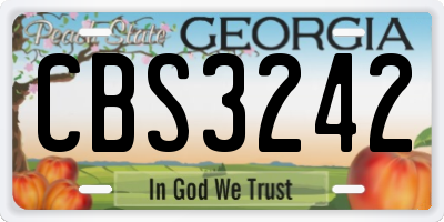 GA license plate CBS3242