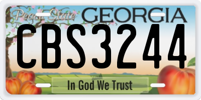 GA license plate CBS3244