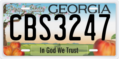 GA license plate CBS3247
