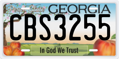 GA license plate CBS3255