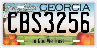 GA license plate CBS3256