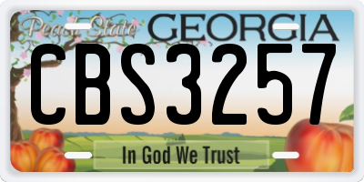 GA license plate CBS3257