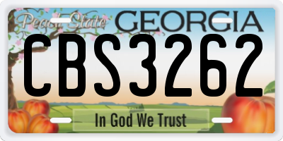 GA license plate CBS3262