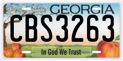 GA license plate CBS3263