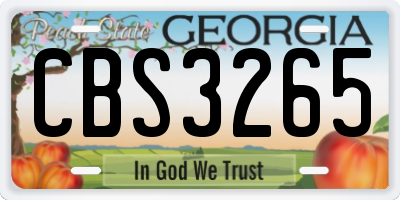 GA license plate CBS3265
