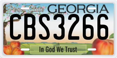 GA license plate CBS3266