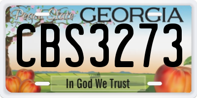 GA license plate CBS3273
