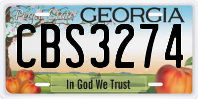 GA license plate CBS3274