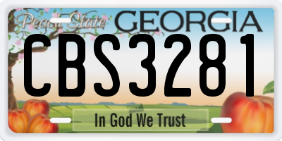 GA license plate CBS3281
