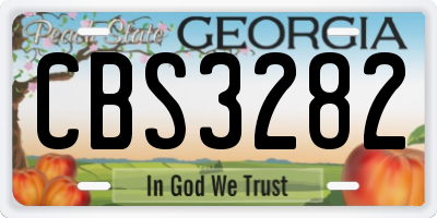 GA license plate CBS3282