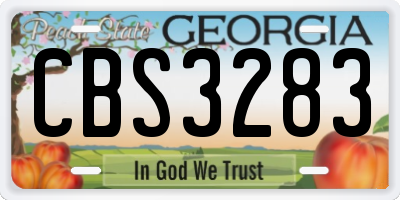GA license plate CBS3283