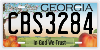 GA license plate CBS3284
