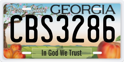 GA license plate CBS3286