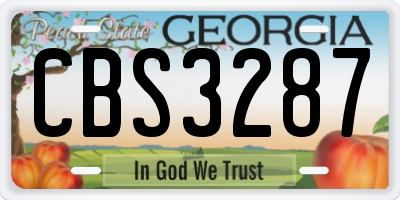 GA license plate CBS3287