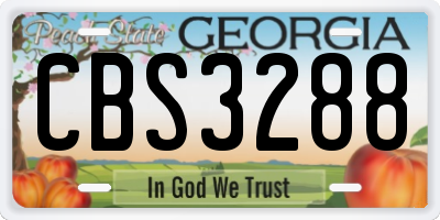 GA license plate CBS3288