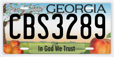 GA license plate CBS3289