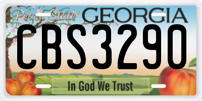 GA license plate CBS3290