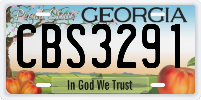 GA license plate CBS3291