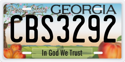 GA license plate CBS3292