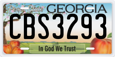 GA license plate CBS3293