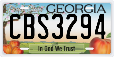 GA license plate CBS3294