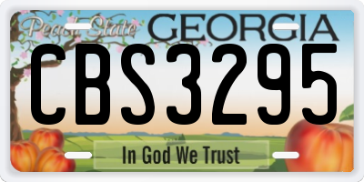 GA license plate CBS3295