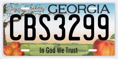 GA license plate CBS3299