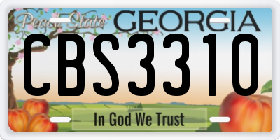 GA license plate CBS3310