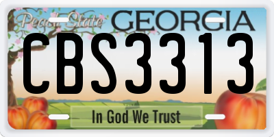 GA license plate CBS3313