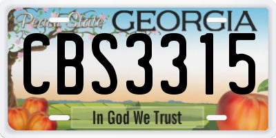 GA license plate CBS3315