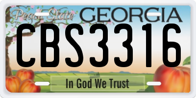 GA license plate CBS3316