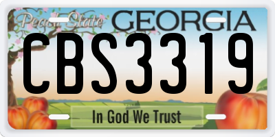 GA license plate CBS3319