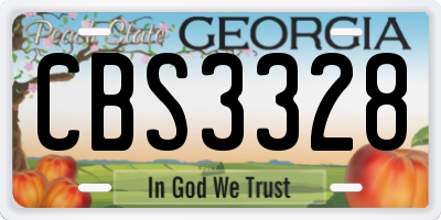 GA license plate CBS3328
