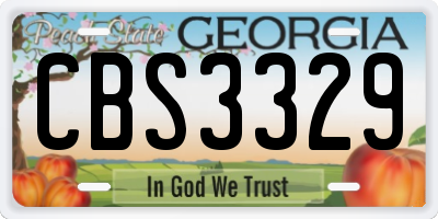 GA license plate CBS3329