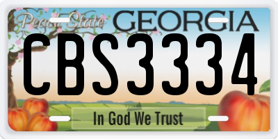 GA license plate CBS3334
