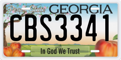 GA license plate CBS3341