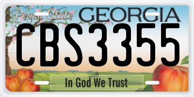 GA license plate CBS3355