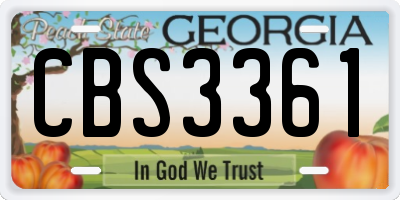 GA license plate CBS3361