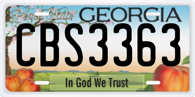 GA license plate CBS3363